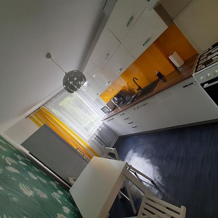 Zielony Apartament, Kielce, Targi, Centrum Exteriör bild