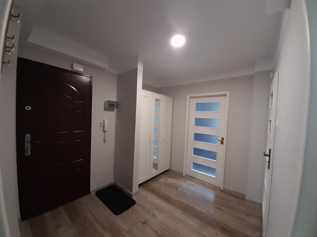 Zielony Apartament, Kielce, Targi, Centrum Exteriör bild