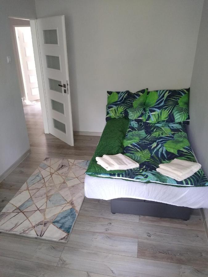 Zielony Apartament, Kielce, Targi, Centrum Exteriör bild